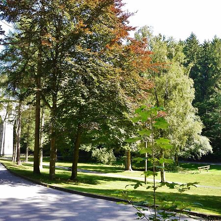 Appartement Happynest*** Mit Hallenbad Willingen  Exterior foto
