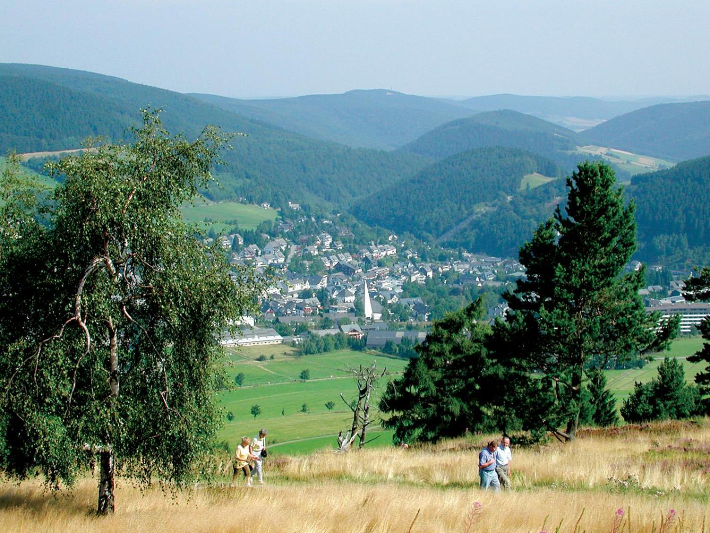 Appartement Happynest*** Mit Hallenbad Willingen  Exterior foto