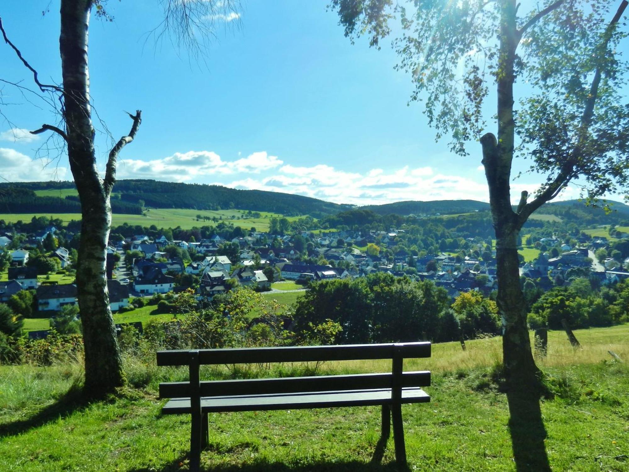 Appartement Happynest*** Mit Hallenbad Willingen  Exterior foto