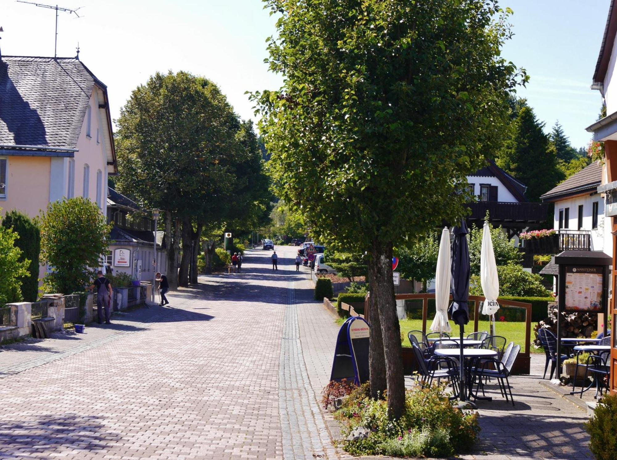 Appartement Happynest*** Mit Hallenbad Willingen  Exterior foto